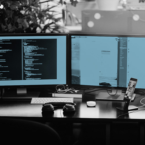 quadrat_monitoring