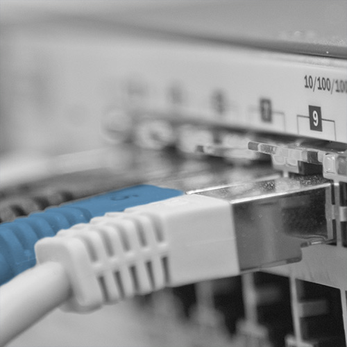 quadrat_netzwerk